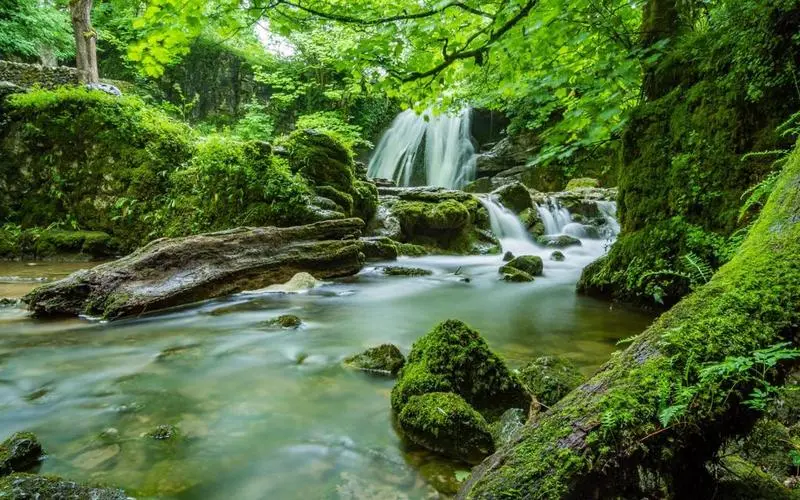 高端高效电子